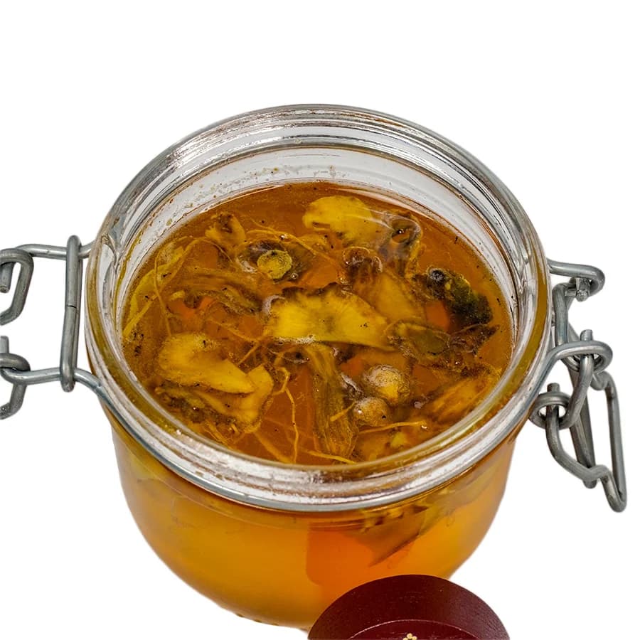 Cách dùng sâm Ngọc Linh cho người suy nhược cơ thể