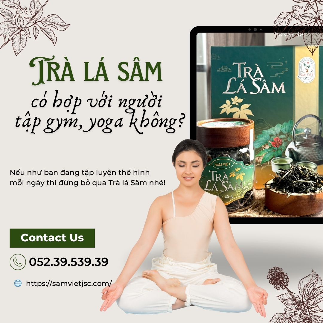 Góc giải đáp: Trà lá sâm tốt người tập gym và yoga không?