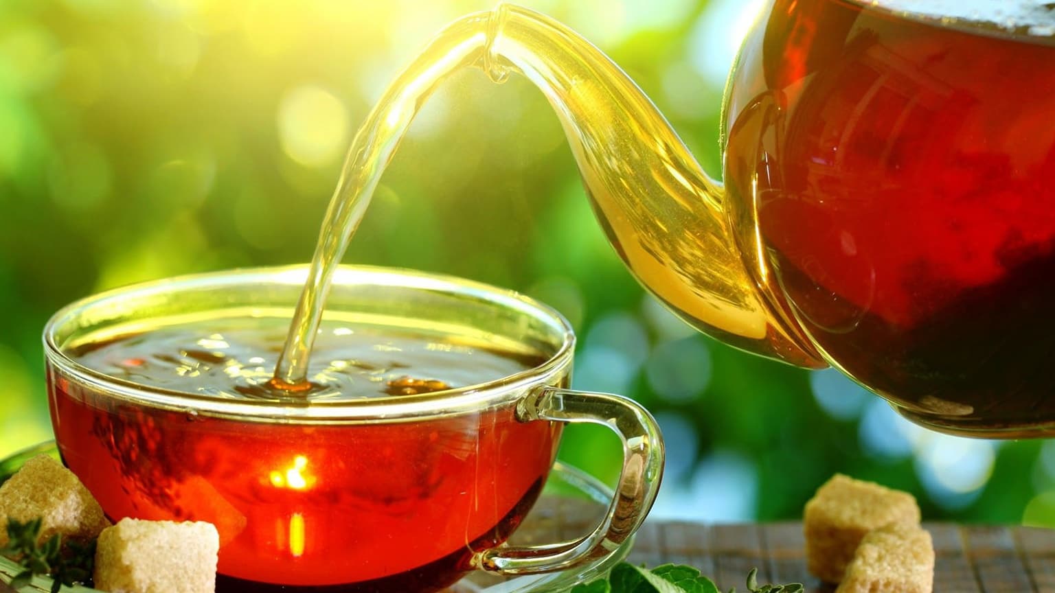 Tổng quan về trà lá sâm