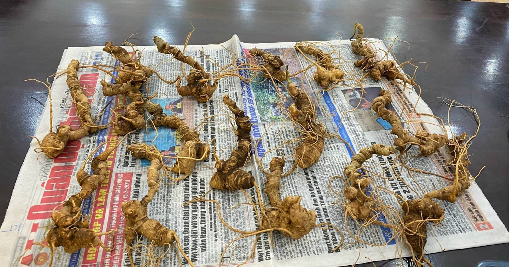 Vì sao cần bảo quản sâm tươi đúng cách?