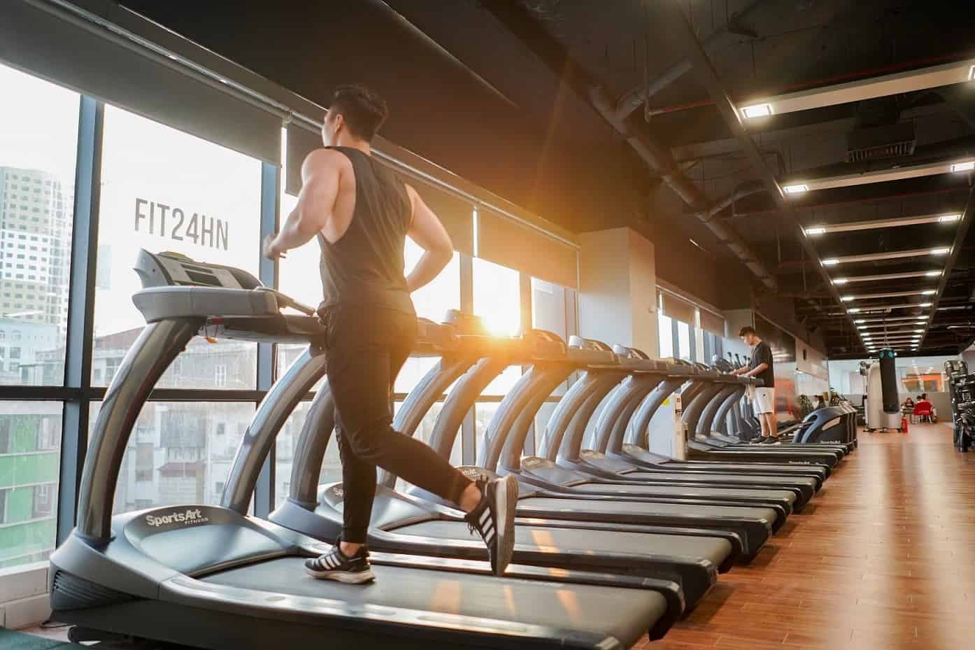 Sâm sấy khô cho người tập gym: Bí quyết tăng cường sức bền và phục hồi cơ bắp hiệu quả
