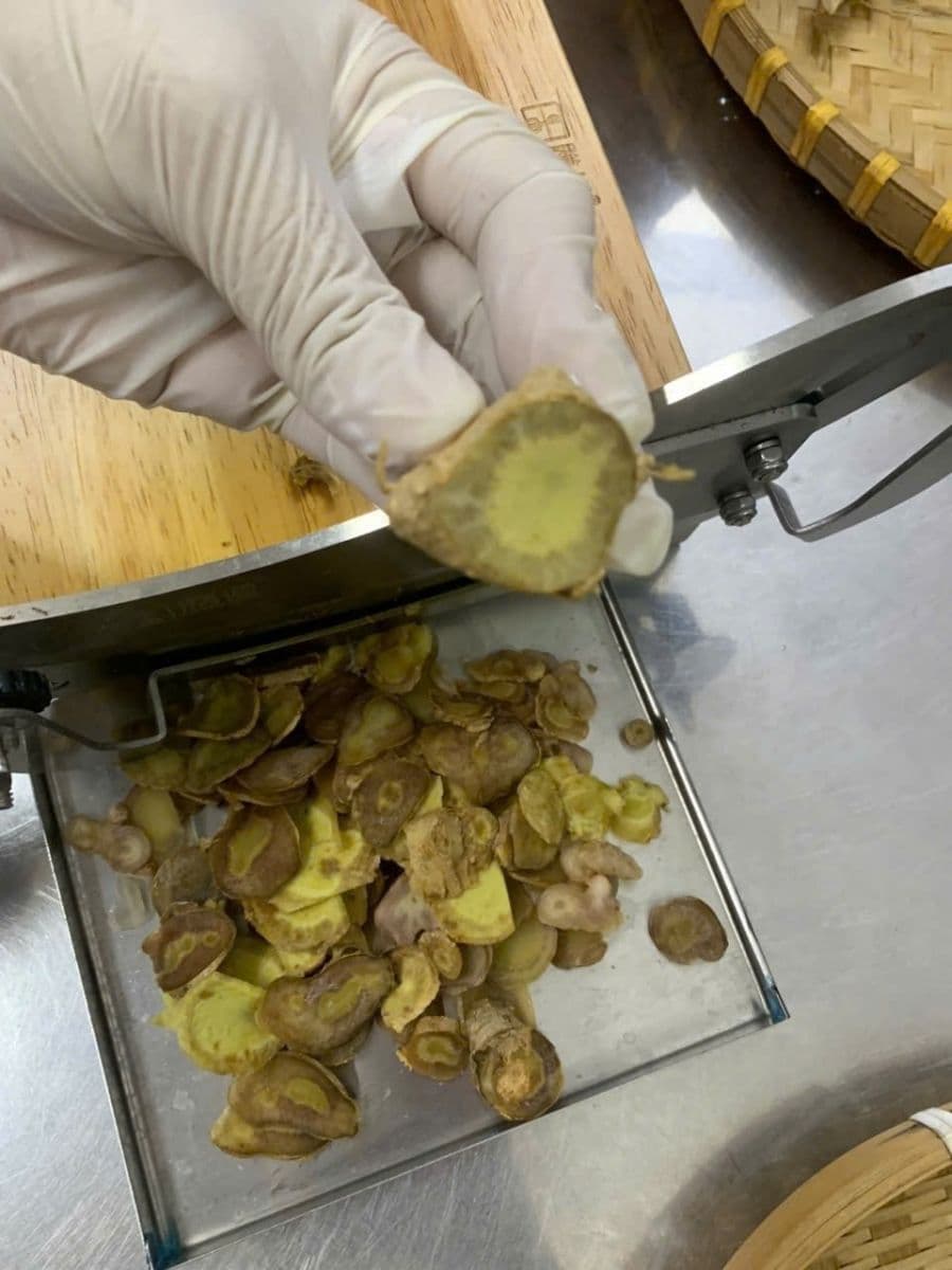 Dấu hiệu nhận biết sâm Ngọc Linh khô đã hỏng