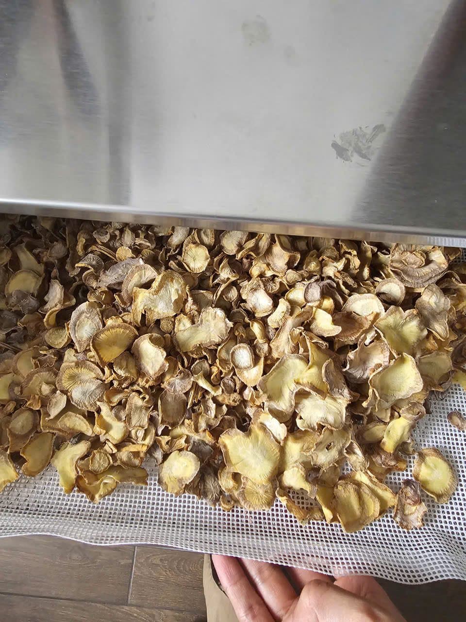 Các thành phần dược chất trong sâm Việt sấy khô